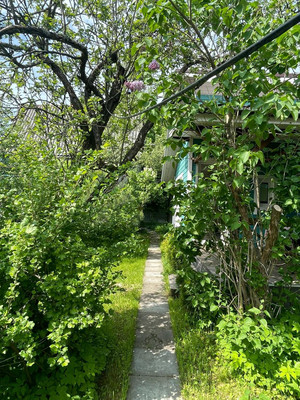 Продам дом, Белоостровская (Родник тер. СНТ) ул, 100, 38 км Выборгского шоссе массив, 0 км от города