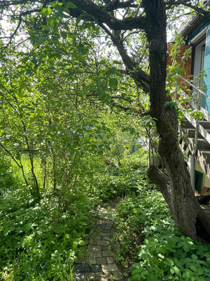 Продам дом, Белоостровская (Родник тер. СНТ) ул, 100, 38 км Выборгского шоссе массив, 0 км от города