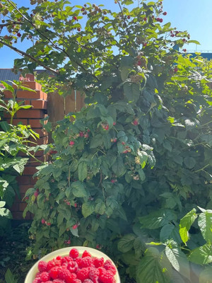 Продам дом, Колхозная ул, 8, Ханты-Мансийск г, 0 км от города