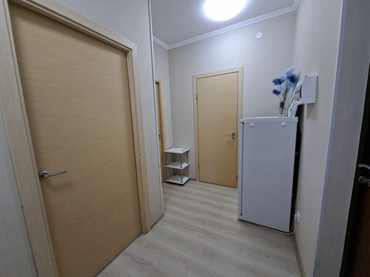 Продам однокомнатную (1-комн.) квартиру, Ясная ул, 11, Янино-1 гп