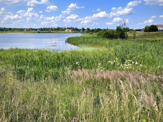 Продам коттедж, Береговая ул, 138, Нефедьево д, 0 км от города