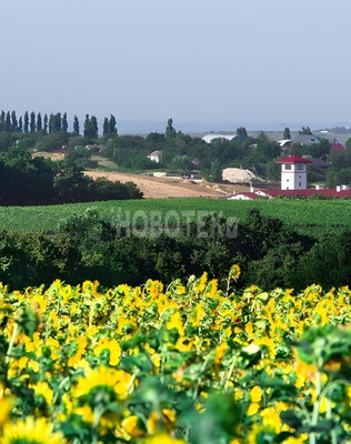 Продам участок 8,11 соток, ИЖС, Калинина ул, 16, Молдаванское с, 0 км от города