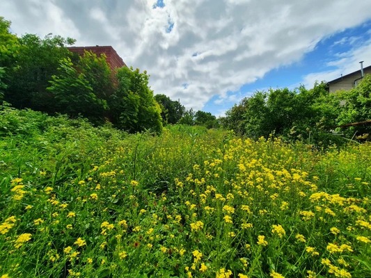 Продам участок 8 соток, ИЖС, Смаглия (Дудергоф тер.) ул, Красное Село г, 0 км от города