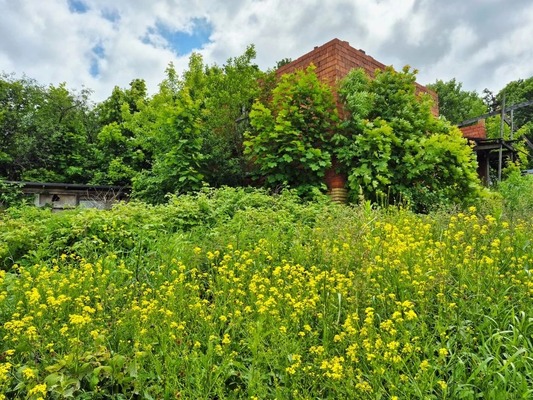 Продам участок 8 соток, ИЖС, Смаглия (Дудергоф тер.) ул, Красное Село г, 0 км от города