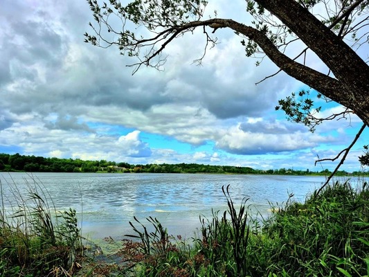 Продам участок 8 соток, ИЖС, Смаглия (Дудергоф тер.) ул, Красное Село г, 0 км от города