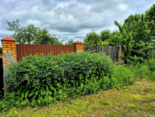 Продам участок 8 соток, ИЖС, Смаглия (Дудергоф тер.) ул, Красное Село г, 0 км от города