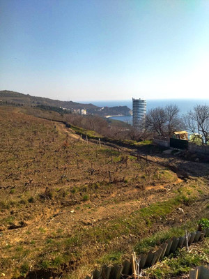 Продам участок 6 соток, Фермерское хоз., Утес п, 0 км от города