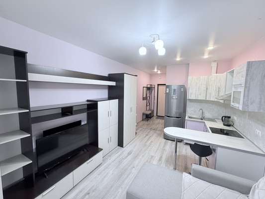 Сдам однокомнатную (1-комн.) квартиру, Оптиков ул, 37, Санкт-Петербург г