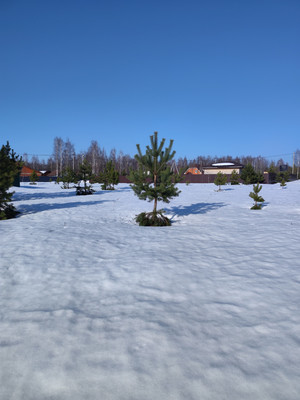 Продам участок 10 соток, Садоводство, Гжель тер. СНТ, Речицы с, 0 км от города