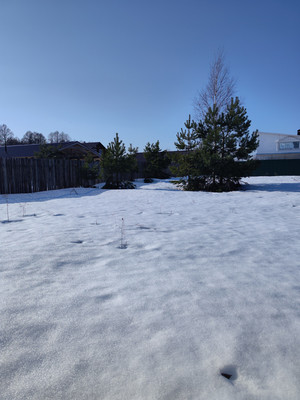 Продам участок 10 соток, Садоводство, Гжель тер. СНТ, Речицы с, 0 км от города