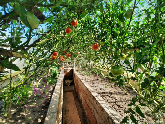 Продам дачу, Усады п, 0 км от города