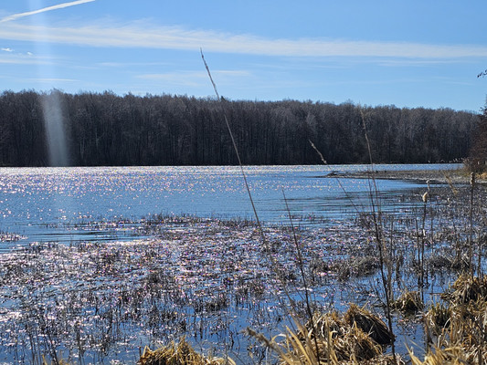Продам участок 8 соток, Фермерское хоз., Южная (СНТ Щит тер.) ул, Волково д, 0 км от города