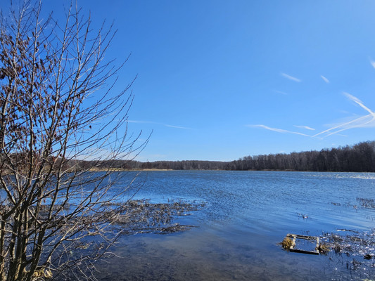 Продам участок 8 соток, Фермерское хоз., Южная (СНТ Щит тер.) ул, Волково д, 0 км от города