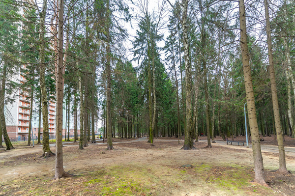 Продам двухкомнатную (2-комн.) квартиру, Игоря Мерлушкина ул, 6, Красногорск г