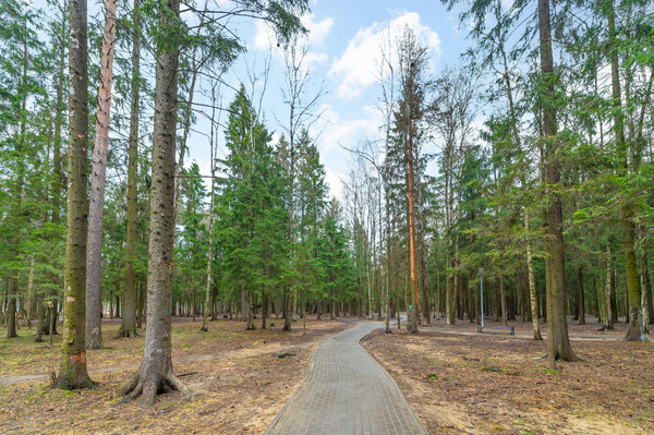 Продам двухкомнатную (2-комн.) квартиру, Игоря Мерлушкина ул, 6, Красногорск г