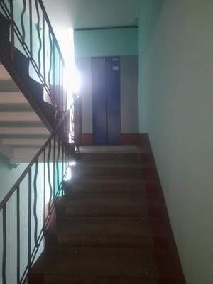 Сдам двухкомнатную (2-комн.) квартиру, Светлановский пр-кт, 52, Санкт-Петербург г