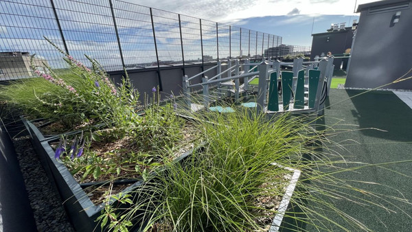 Продам однокомнатную (1-комн.) квартиру, Стекольная ул, 39, Калининград г