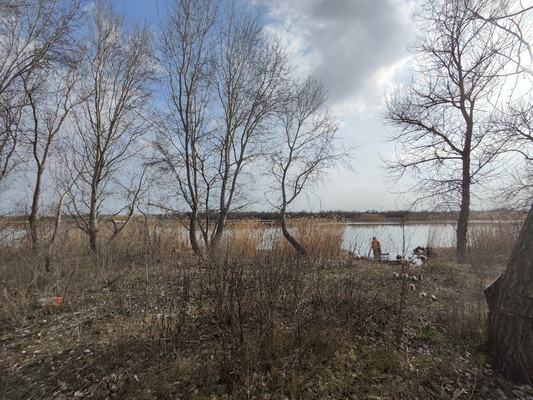 Продам участок 4,7 соток, Фермерское хоз., Гороховый пер, Ростов-на-Дону г, 0 км от города