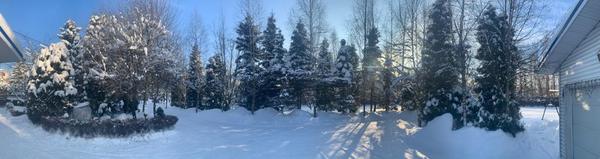 Продам дом, Имени К. И. Вороницына ул, 11, Химки г, 10 км от города