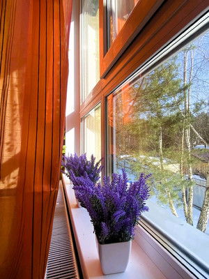 Продам дом, 33, Виноградная лоза тер, 0 км от города