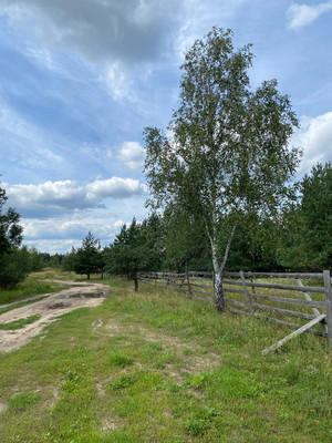 Продам дом, 33, Виноградная лоза тер, 0 км от города