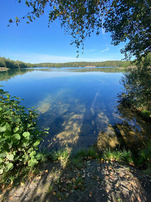 Продам дом, 33, Виноградная лоза тер, 0 км от города