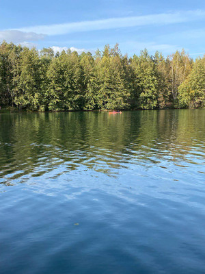 Продам дом, 33, Виноградная лоза тер, 0 км от города