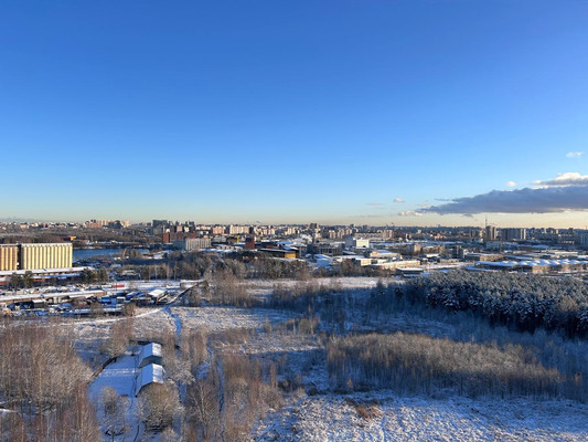 Продам многокомнатную квартиру, Лидии Зверевой ул, 9к1, Санкт-Петербург г