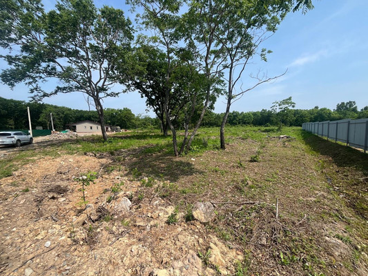 Продам участок 15 соток, Садоводство, Центральная ул, 23, Фокино г, 0 км от города