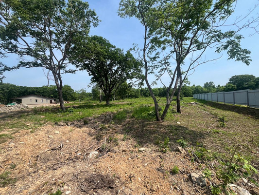 Продам участок 15 соток, Садоводство, Центральная ул, 23, Фокино г, 0 км от города