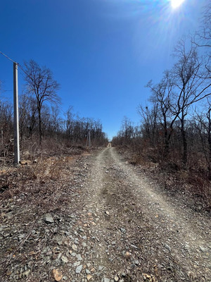 Продам участок 20 соток, ИЖС, Вишневая ул, 11, Фокино г, 0 км от города