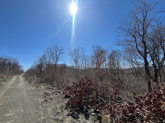 Продам участок 20 соток, ИЖС, Вишневая ул, 11, Фокино г, 0 км от города