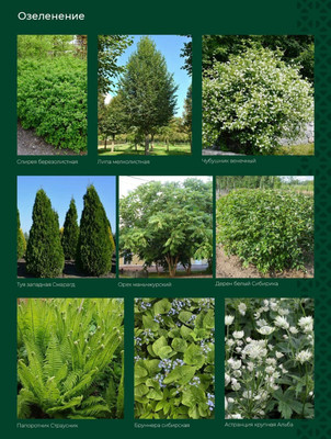 Продам трехкомнатную (3-комн.) квартиру, Нагорная 6-я ул, 15вк4, Барнаул г