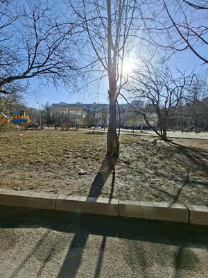 Продам трехкомнатную (3-комн.) квартиру, Художников пр-кт, 33Ак1, Санкт-Петербург г