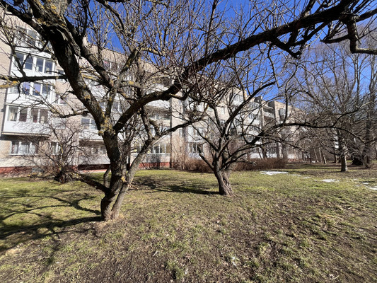 Продам однокомнатную (1-комн.) квартиру, Дзержинского пер, 44, Калининград г