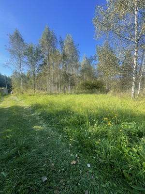 Продам участок 10 соток, ИЖС, Новая ул, Черусти рп, 0 км от города