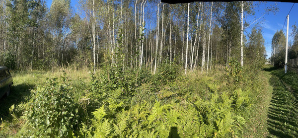 Продам участок 10 соток, ИЖС, Новая ул, Черусти рп, 0 км от города