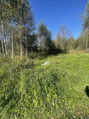 Продам участок 10 соток, ИЖС, Новая ул, Черусти рп, 0 км от города