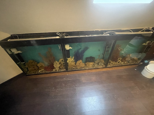 Продам ресторан 191,5 м2, Молодежная ул, 21А, Жуковский г