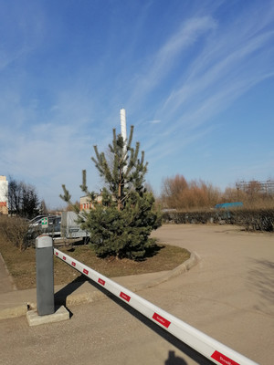 Продам трехкомнатную (3-комн.) квартиру, Завокзальная ул, 6, Великий Новгород г