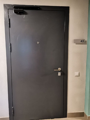 Продам однокомнатную (1-комн.) квартиру, Муринская дор, 25к1, Санкт-Петербург г