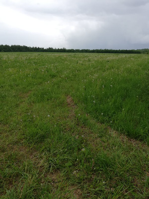 Продам землю для коммерческого использования 1 000 соток, Тяжино д