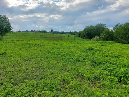 Продам участок 34,28 соток, ИЖС, Обжино д, 0 км от города