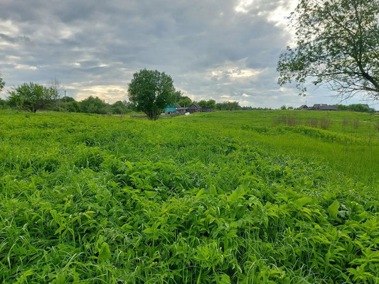 Продам участок 34,28 соток, ИЖС, Обжино д, 0 км от города