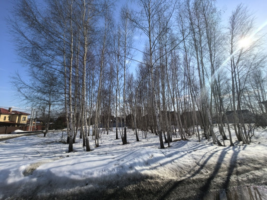 Продам участок 8,6 соток, ИЖС, Светлая ул, Яхрома г, 0 км от города