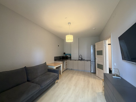 Продам однокомнатную (1-комн.) квартиру, Тосина ул, 6, Санкт-Петербург г