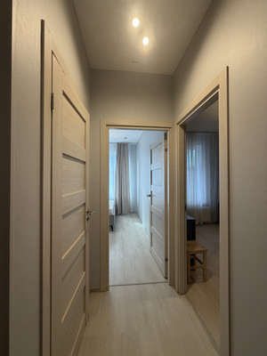 Продам однокомнатную (1-комн.) квартиру, Тосина ул, 6, Санкт-Петербург г