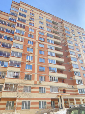 Продам однокомнатную (1-комн.) квартиру, Пушкинская ул, 22, Ашукино дп