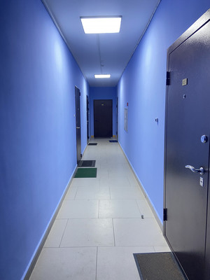 Продам однокомнатную (1-комн.) квартиру, Пушкинская ул, 22, Ашукино дп