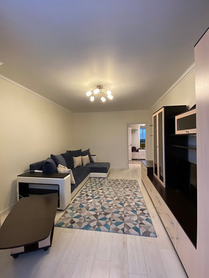 Сдам однокомнатную (1-комн.) квартиру, Стародеревенская ул, 33/10В, Санкт-Петербург г